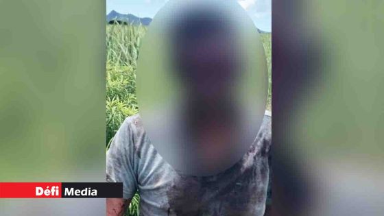 Belle-Rive : un SDF agresse sauvagement un taximan et vole sa voiture pour se droguer