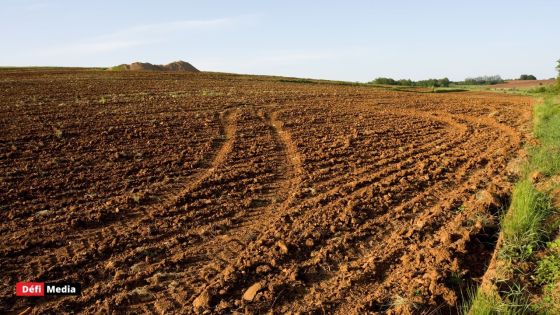 [Blog] Propozisyon LALIT dan kad Bidze 2024-25 e dan kad kanpayn elektoral 