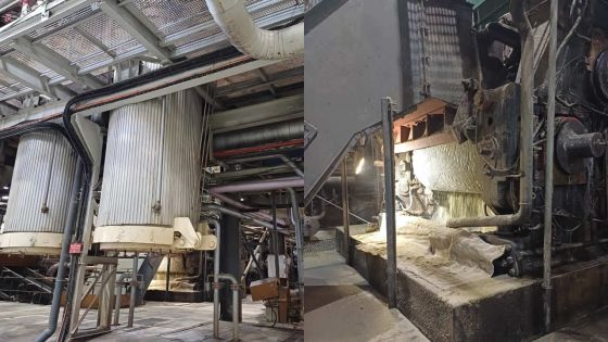 De la canne au rhum : immersion au cœur de l’usine Agriterra et de Grays