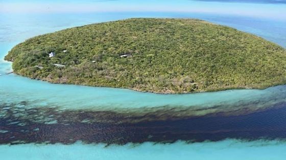 Déversement d’hydrocarbure : 700 mètres de littoral nettoyés à l’île aux Aigrettes