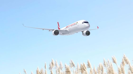 Connectivité aérienne : 3 touristes sur 10 voyagent par Air Mauritius