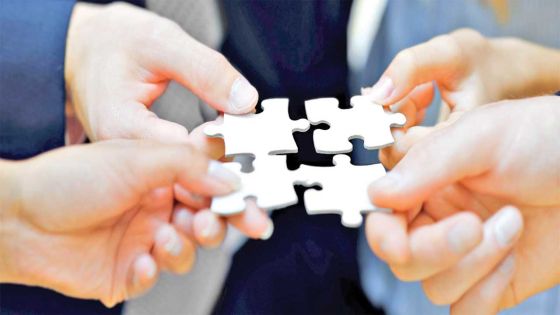 Young Professionals: Political parties: Should they make alliances?