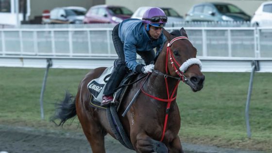Hippisme – The Duke Of York Cup – Gr. 1 – 1600 m : Juglall proche d’une première