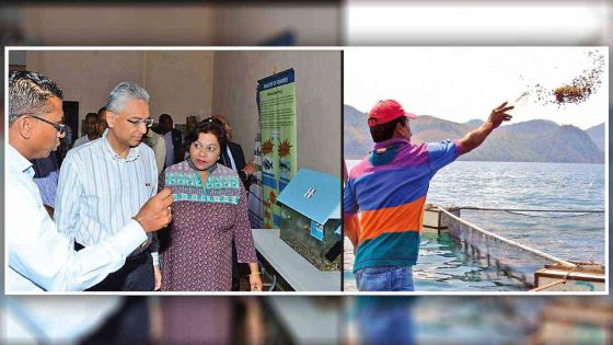 Entrepreneurship: Aquaculture The next big thing