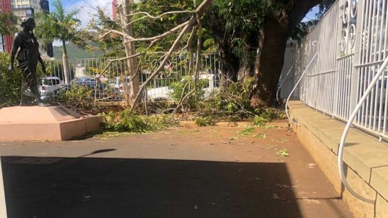 Dans l’enceinte de la Cour commerciale : des vents violents provoquent la chute d’une branche