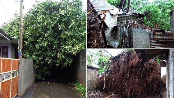 Roche-Bois : un « pie lafours » s’abat sur trois maisons 