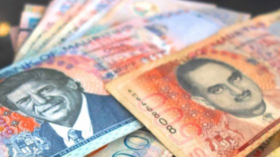 Workfare Programme : Rs 3,18 milliards décaissées en 4 ans pour soutenir financièrement les licenciés 