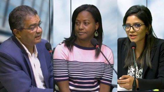 Législatives 2019 : zoom sur la circonscription no 4, revivez le débat entre Subashnee Mahadao, Aurore Perraud et Robert  