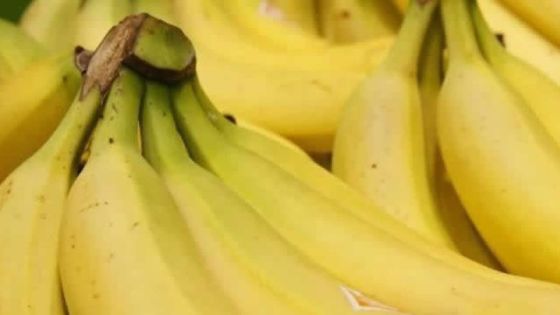 Écroignard : le voleur ne lâche pas les bananes…