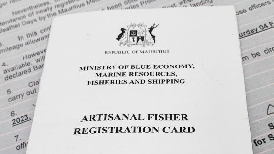 Bad Weather Allowance - Soupçons de fraude : 45 pêcheurs alertent le PMO