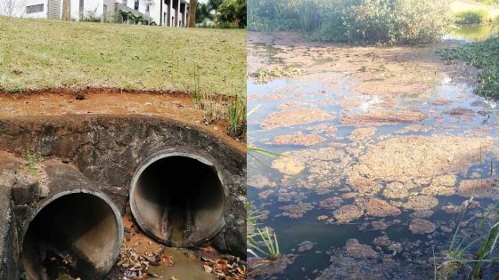 Bagatelle Mall : pollution d’huile et d’eaux usées dans des bassins