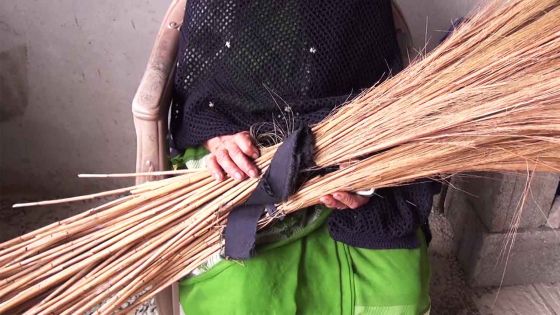 Une habitante de Nouvelle-France : « On m'a volé 34 balais » 