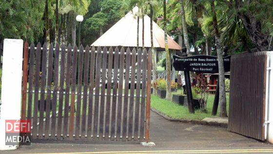 Jardin Balfour : une cinquantaine de singes sèment la terreur, selon une joggeuse