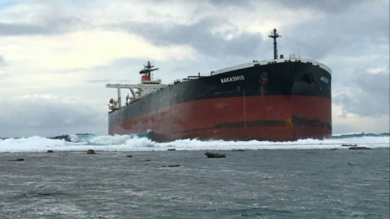 Navire échoué à Pointe-d’Esny : un ingénieur marin parle de «volunteering grounding» 