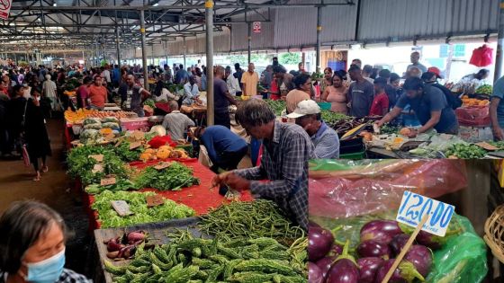 Légumes rares et chers : végétariens à tout prix mais…