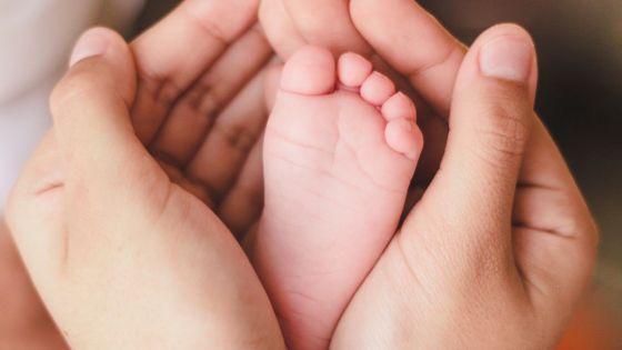 Dans les morgues : plus d’une cinquantaine de dépouilles d’«Unclaimed Babies» préservées