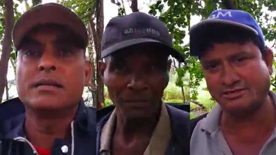 Fakir - conditions de travail difficiles pour les laboureurs de Bel-Ombre 