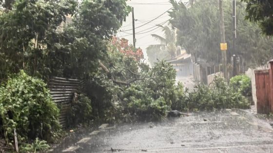 Belal : le point sur la situation à la route Berthaud 