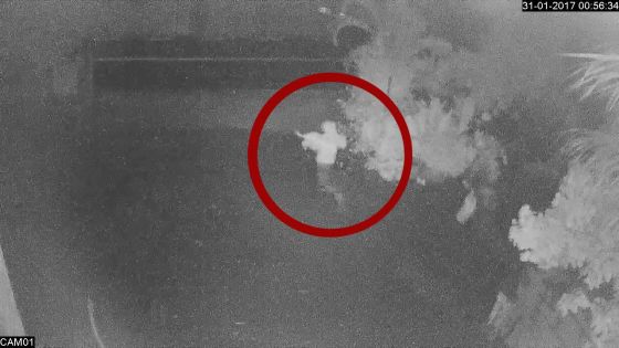 Vol de bétail filmé : deux hommes et une femme démasqués 