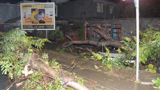 Tempête Calvinia - Maurice en alerte 3 : aperçu général de la situation prévalant dans le pays