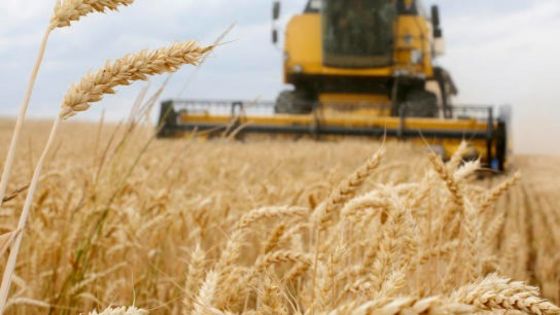 Après les carburants, le blé au cœur des préoccupations 