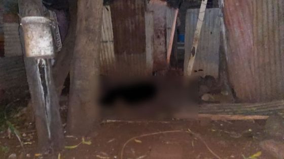 Riche-Terre :  une dispute de voisinage à l’origine d’un meurtre, le suspect passe aux aveux