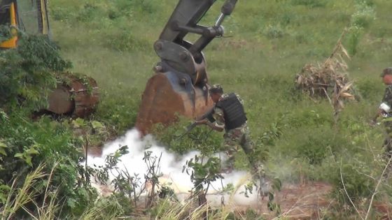 Fièvre aphteuse : des bœufs abattus à la carabine