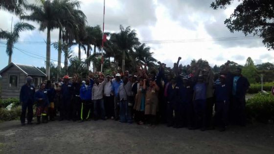 Ils veulent recevoir leur salaire avant Divali : sit-in de 150 employés de l’usine de thé Bois-Chéri