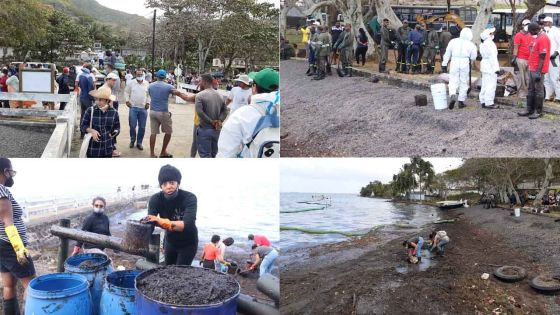 [En images] Le fioul se propage : à Bois-des-Amourettes, la lutte contre le temps s'organise