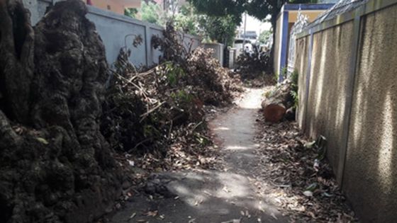 Post Calvinia : des habitants de l’Escalier attendent toujours le déblayage de la route