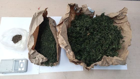 Quatre-Cocos : du cannabis et un millier de graines de cette drogue saisis chez un fermier