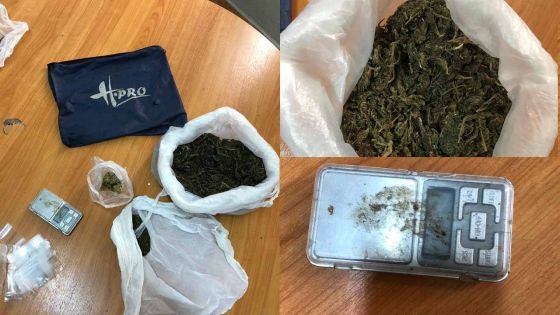 Goodlands : plus de 300 g de cannabis saisis, 'Funky Babe' épinglé