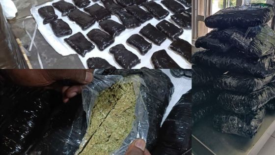 Dans la zone portuaire : saisie de Rs 15 M de cannabis dans deux machines à laver 