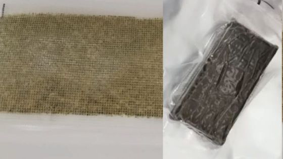 Poste centrale : saisie de Rs 300 000 de cannabis grâce au chien renifleur Otto