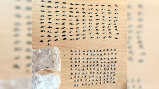 À Batterie-Cassée : Un dealer abandonne 248 doses de drogue et disparaît