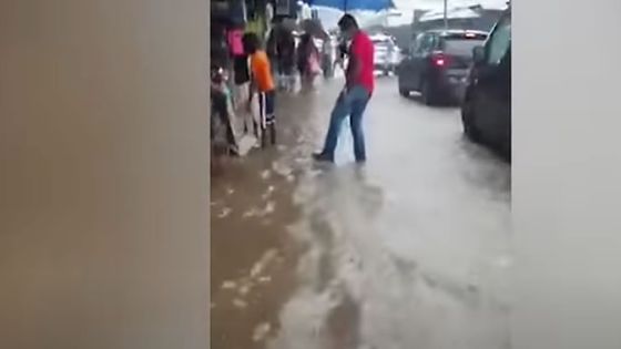 Accumulations d’eau à Rose-Hill : des maraîchers montent au créneau 