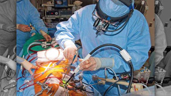 Santé : des développements à prévoir dans le domaine de la cardiologie pédiatrique