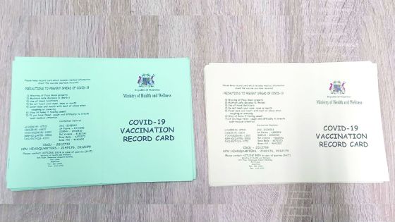 Cartes vaccinales anti-Covid-19 égarées ou abîmées : ce que vous devez faire
