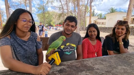 «Bébé», l’oiseau apprivoisé de Midesh profite de la plage