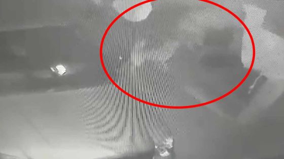 Riche-Terre : filmé en train de voler une batterie alors que le chien remue la queue