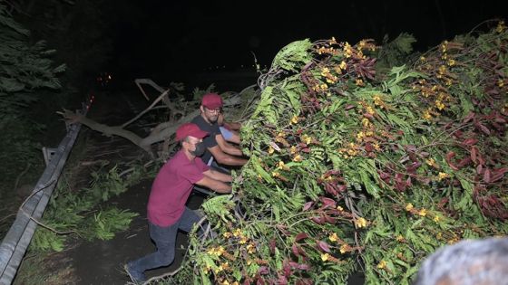 Cyclone tropical intense Batsirai : 50 personnes dans les centres d’urgence 