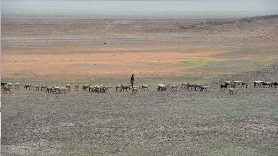 Inde : 78 morts de la chaleur extrême en deux jours 