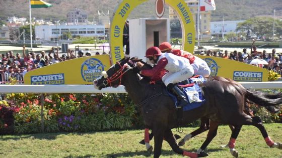 Hippisme - 5e course : Moonrise Sensation…où l’intelligence tactique de Nunes
