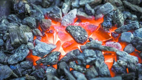 Transition énergétique : les défis d’un avenir zéro charbon 