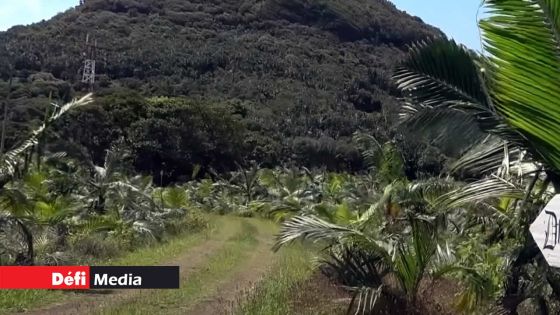 Drame à Sébastopol : la sécurité lors d’une partie de chasse revient sur le tapis