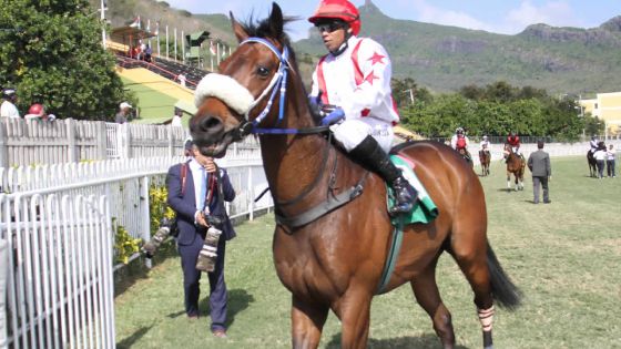 Me Arassen Kallee : «Black Parrot n’a jamais fait l’objet d’une saisie»