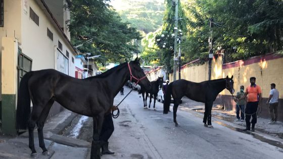 MTC/MTCSL : environ Rs 8 millions décaissées pour les salaires 