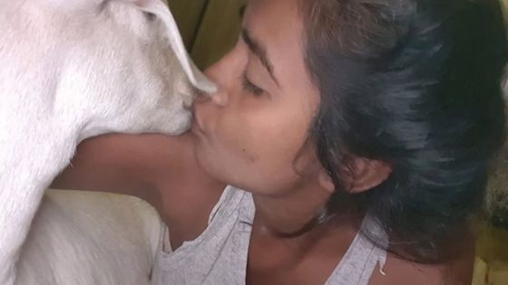 Demande d’aide : Priya cherche désespérément Sarah, la chèvre considérée comme sa fille