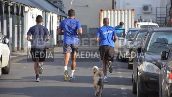 [Insolite] Casernes centrales : le chien aussi se met à l'heure des galops...