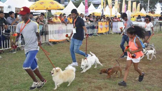 Au collège St-Mary's, Rose-Hill : le Salon des animaux en images 